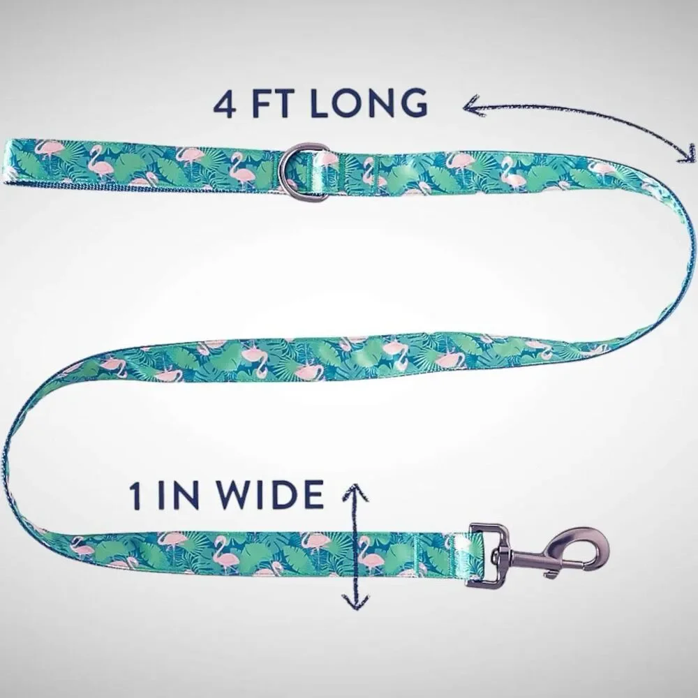 Top Paw‎ Flamingo Graphic Satin Nylon Dog Leash D-Ring Handle 4 FT